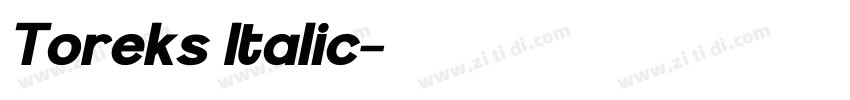 Toreks Italic字体转换